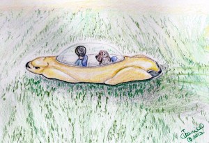 ???????????????????????????????