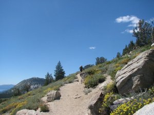 38586_145718362119757_5574100_n