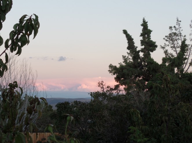 SAMSUNG CAMERA PICTURES