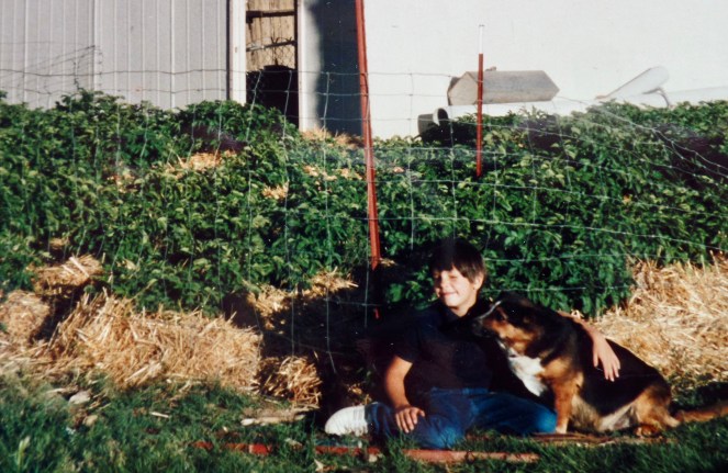 SAMSUNG CAMERA PICTURES