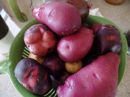 SAMSUNG CAMERA PICTURES