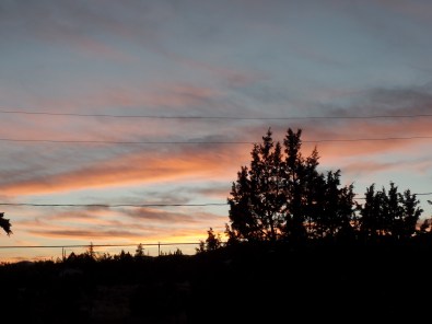 SAMSUNG CAMERA PICTURES