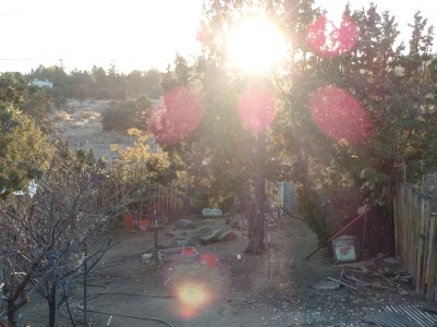 SAMSUNG CAMERA PICTURES