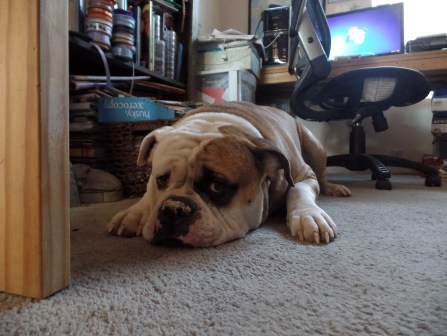 SAMSUNG CAMERA PICTURES