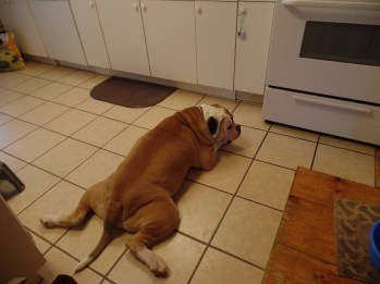 SAMSUNG CAMERA PICTURES