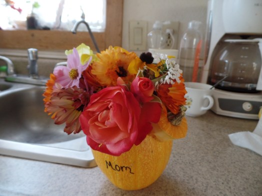 SAMSUNG CAMERA PICTURES