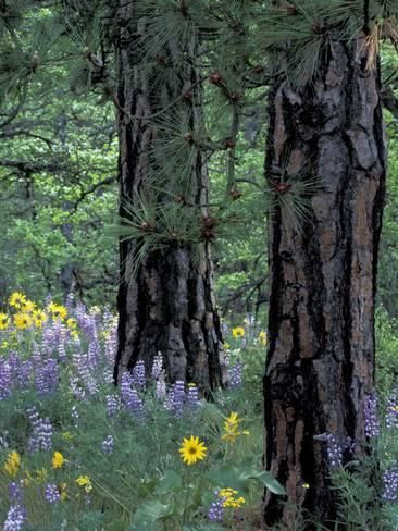 c50f2525969a70fb0c18bee6ecf02e55